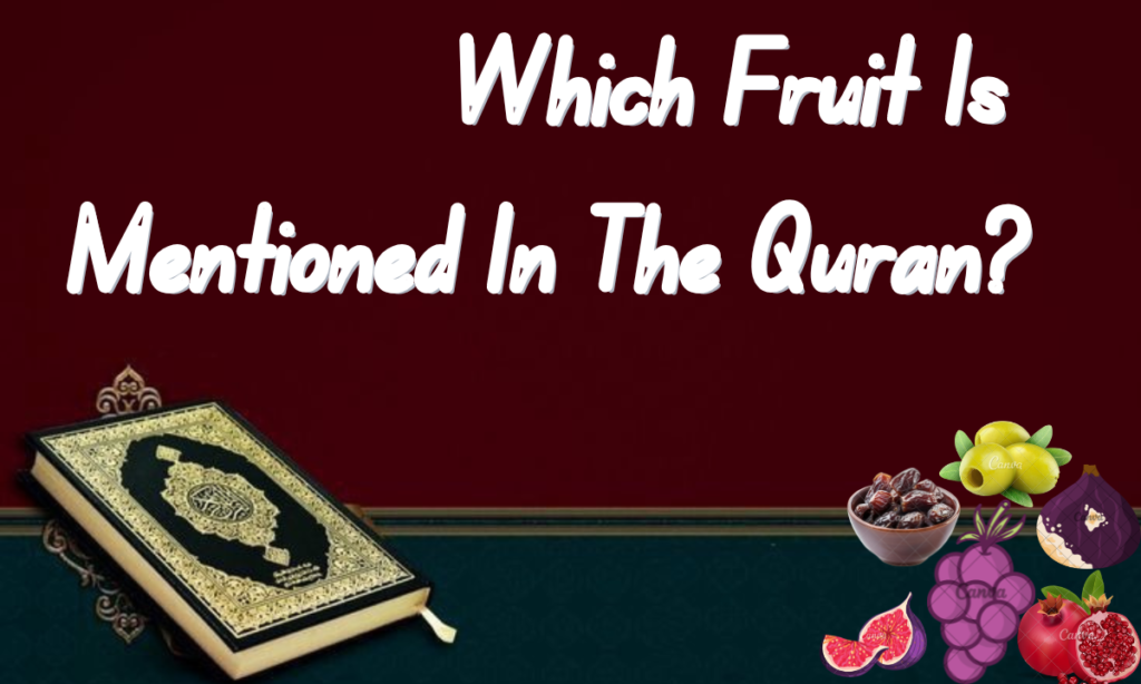 Which Fruit Is Mentioned In The Quran?